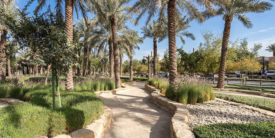 Wadi Hanifah Diriyah Gate Riyadh KSA