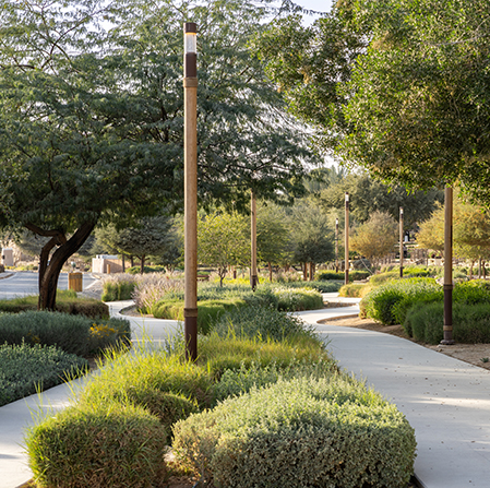 Wadi Hanifah Diriyah Gate Riyadh KSA